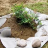 Juuriestematto Tarha 21 m² 4,05x5,20 m