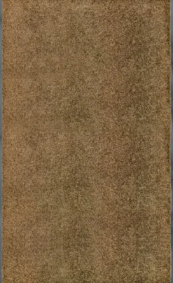 Käytävämatto 90x150cm pestävä ruskea