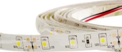 LED-nauha FTLIGHT 4.8 W/m 12V IP65 4000K himmennettävä 5 m/rulla