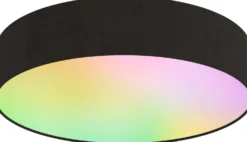Älykattoplafondi Calex Smart Ø30cm RGB + 3000-6500K musta